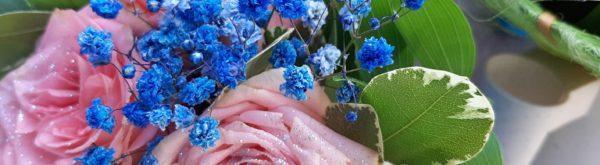 گفتگودر مورد مسایل مربوط به پرستار خویشاوند /Persiankieliset Omaishoitajat-img